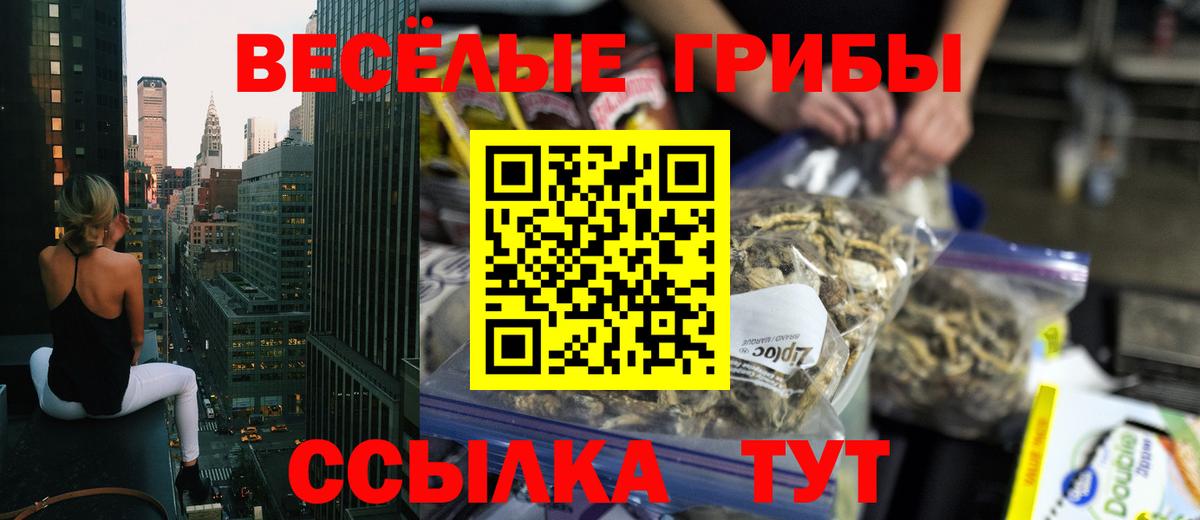 Псилоцибиновые грибы Psilocybine cubensis Можайск